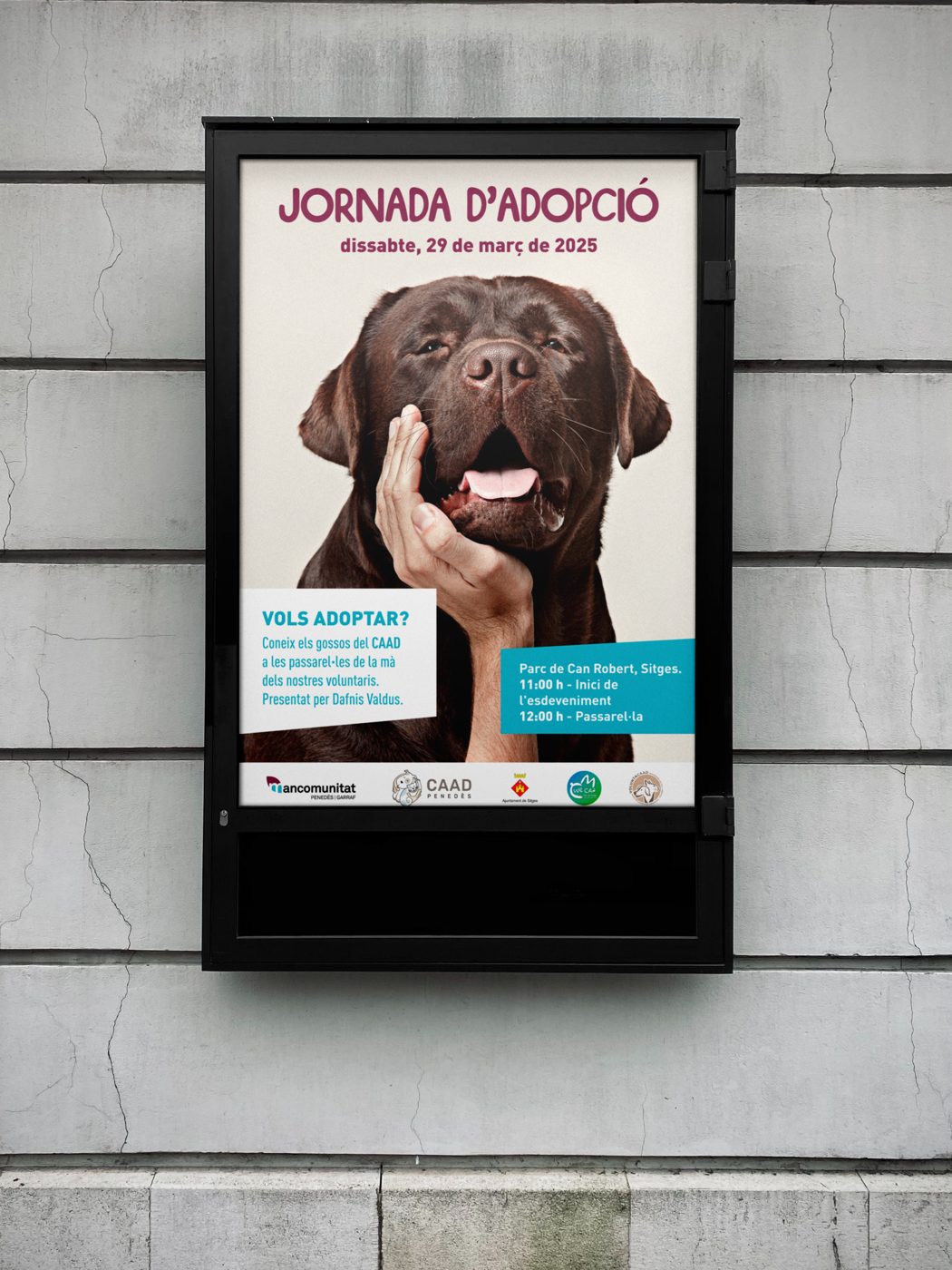 Cartelería — CAAD · diseño gráfico Puig Monreal